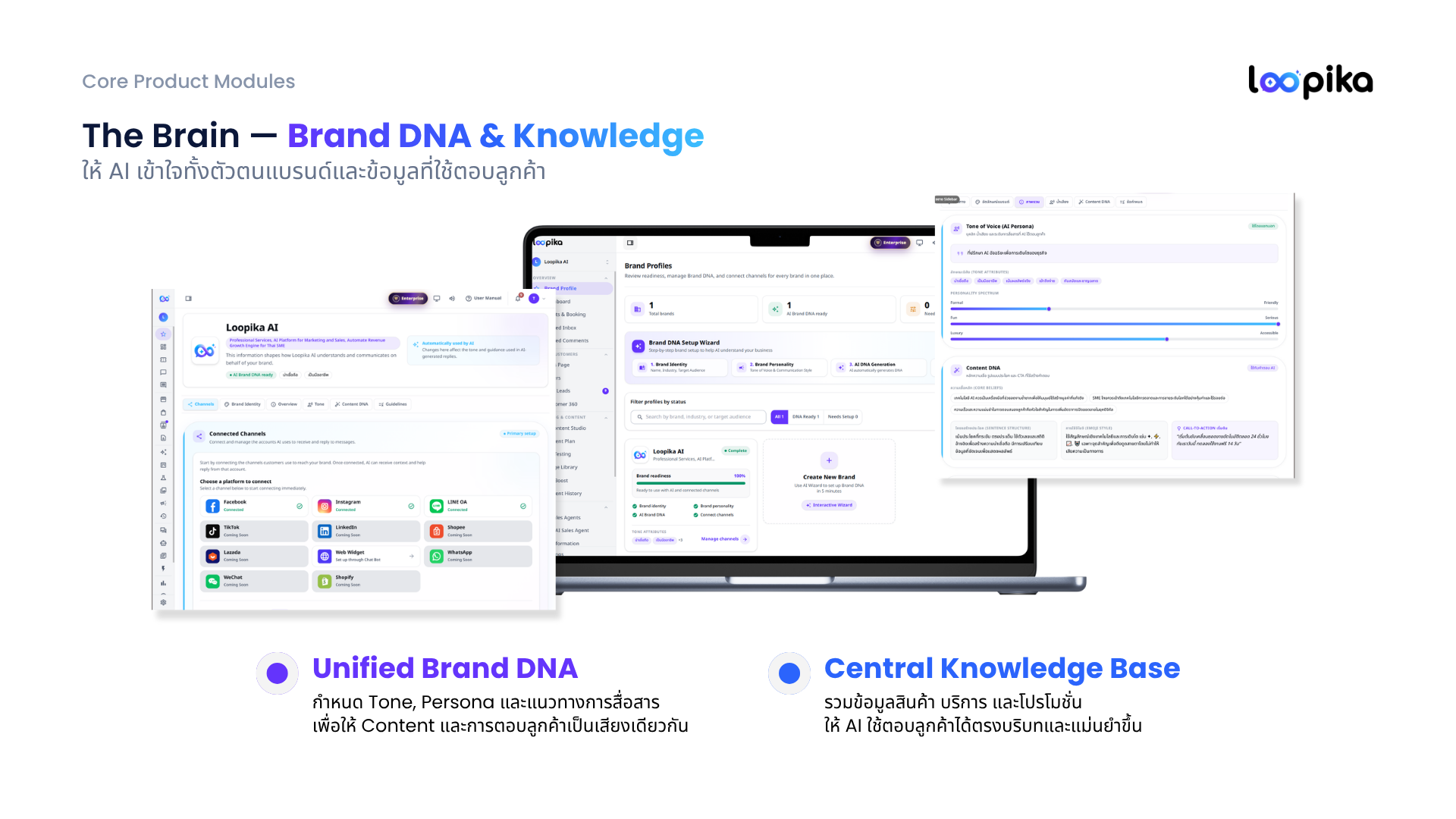 Loopika The Brain - Brand DNA & Knowledge